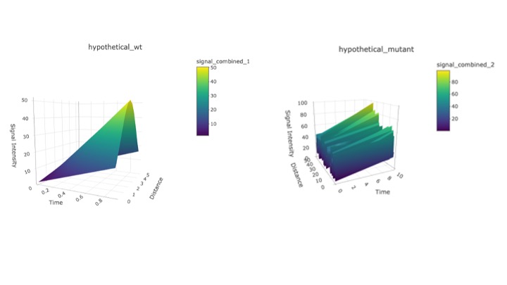 3D plots