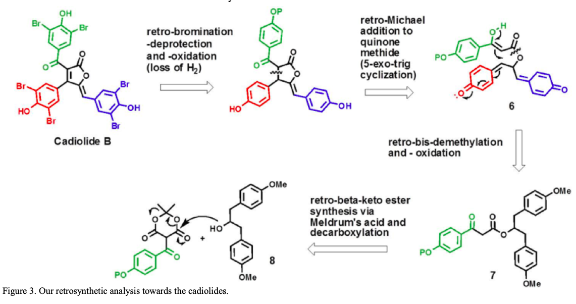 Synthesis Approach