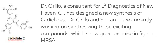 Cadiolides Structure