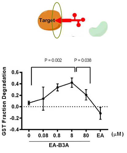 Ligand interaction