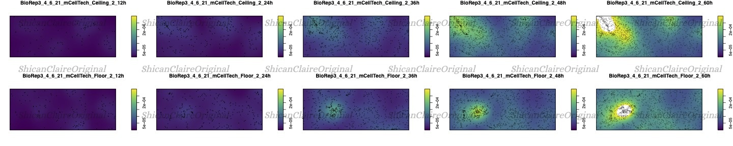 Probability Heatmap